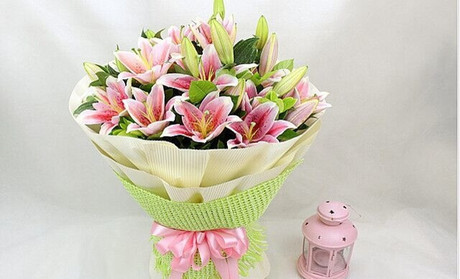 重阳节给老人送百合花