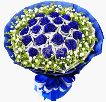 蓝色妖姬爱上海1314后花园送父母