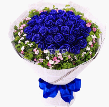 蓝色妖姬爱上海1314后花园送给朋友
