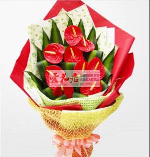 老公生日送红掌花