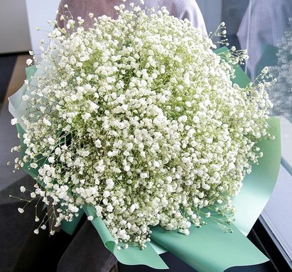 铃兰花的花语